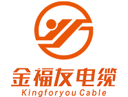 金福友簡(jiǎn)介