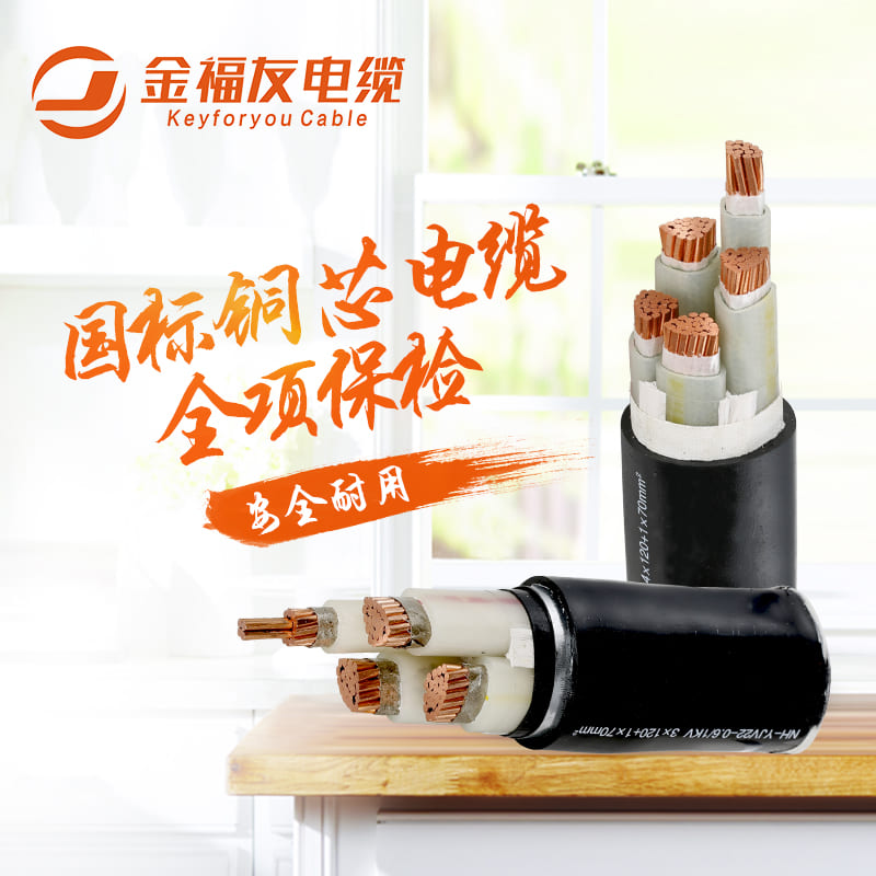 金福友國標銅芯電纜，全項保檢