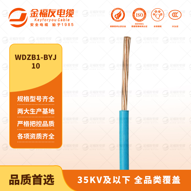 金福友產品-9.15-WDZB1-BYJ-10