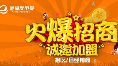 加盟金福友電纜，助您實現創業夢！