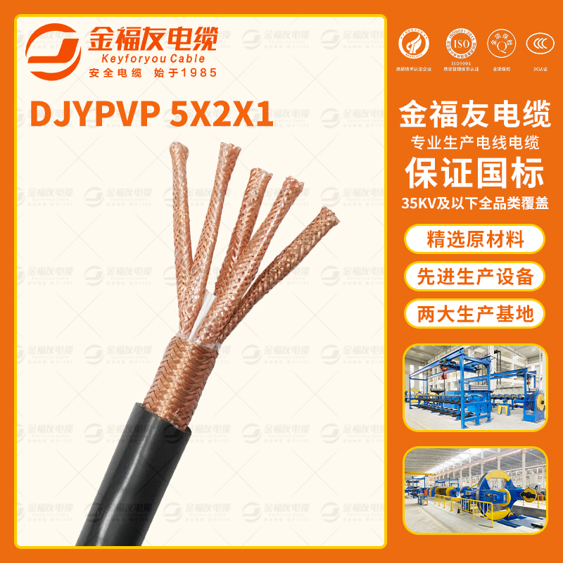 金福友產品-8.21-DJYPVP-5X2X1